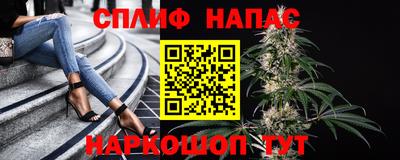 сатива Кумертау